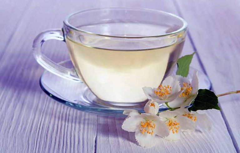 Chá Branco: Como Fazer e Benefícios para a Saúde