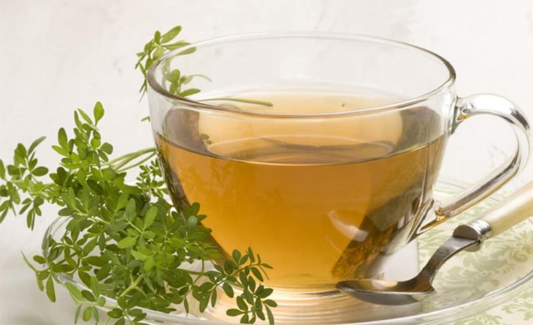 Chá de Arruda: Benefícios para a Saúde e Como Preparar