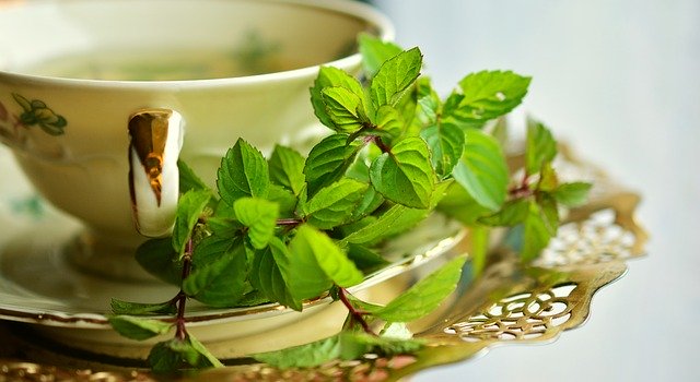 Remédios caseiros para Dor no Estômago - Chá de hortelã